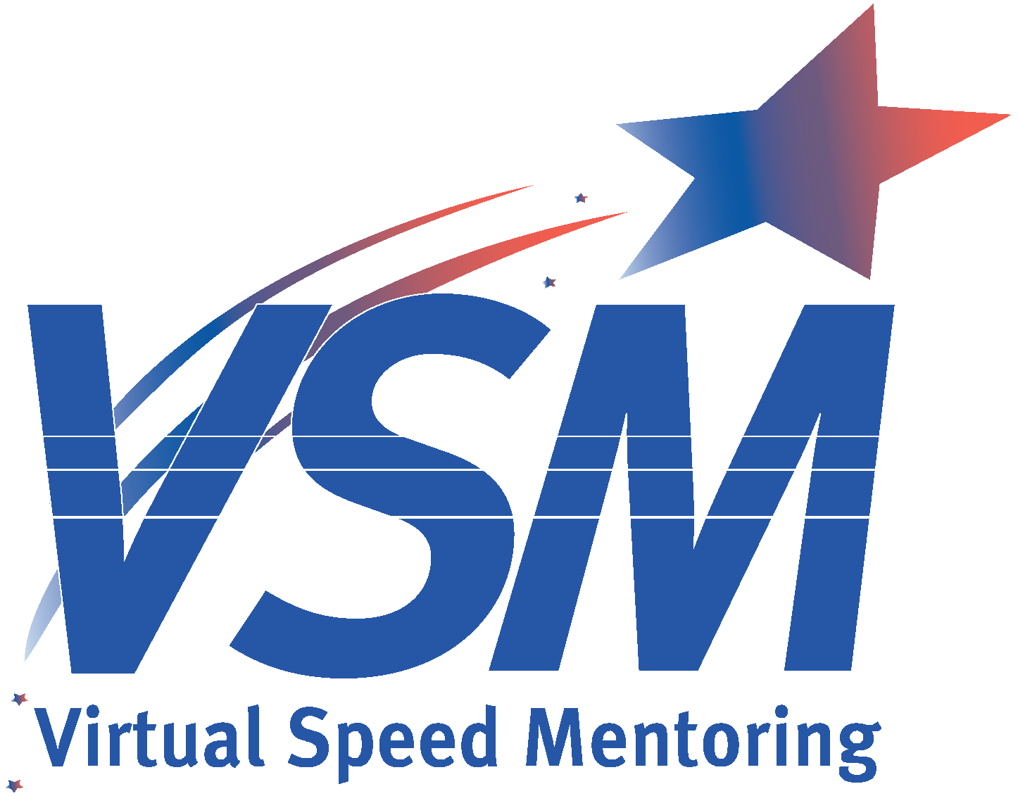 VSM Logo
